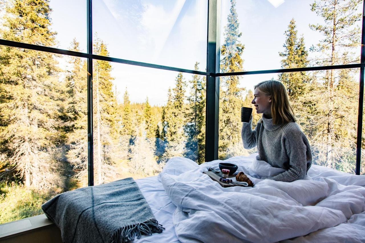Magical Pond Nature Igloos Ruka Exteriör bild