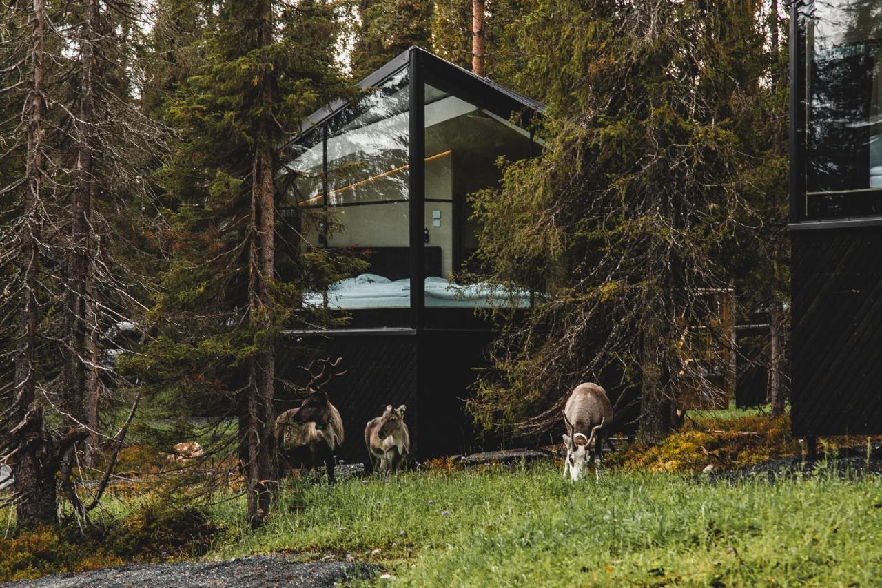 Magical Pond Nature Igloos Ruka Exteriör bild