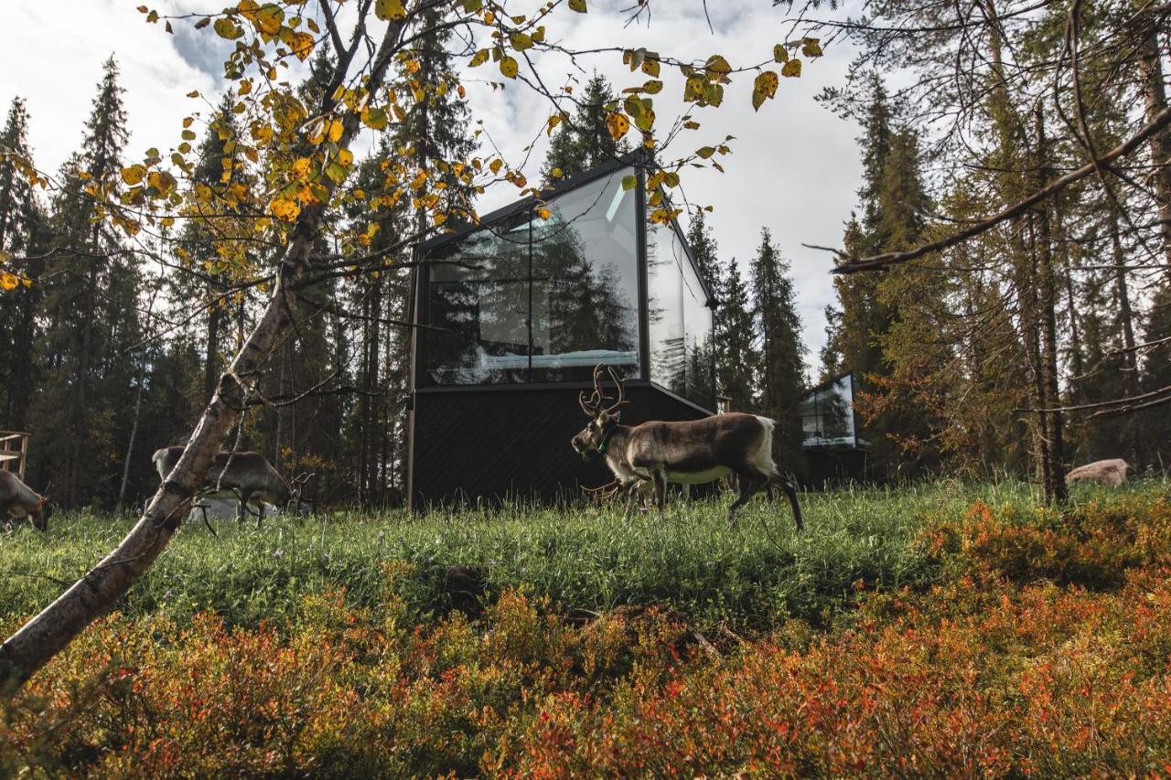Magical Pond Nature Igloos Ruka Exteriör bild