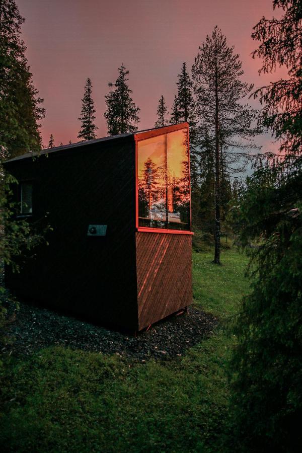 Magical Pond Nature Igloos Ruka Exteriör bild
